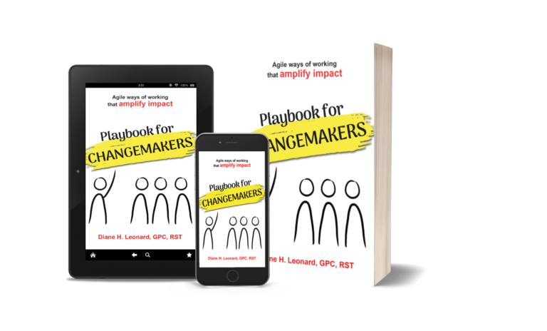 Playbook for Changemakers