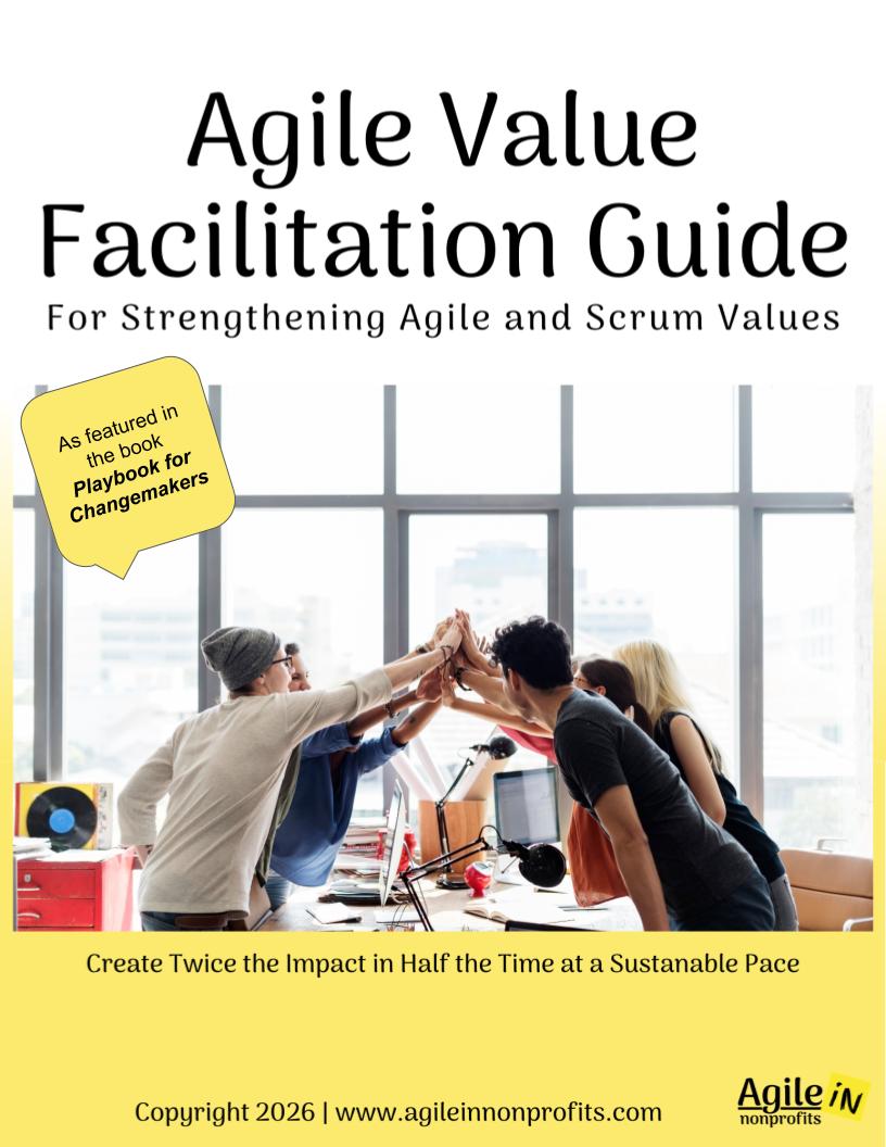 Facilitating Values Guide - Cover